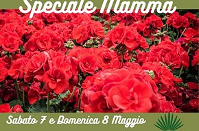 Festa della mamma